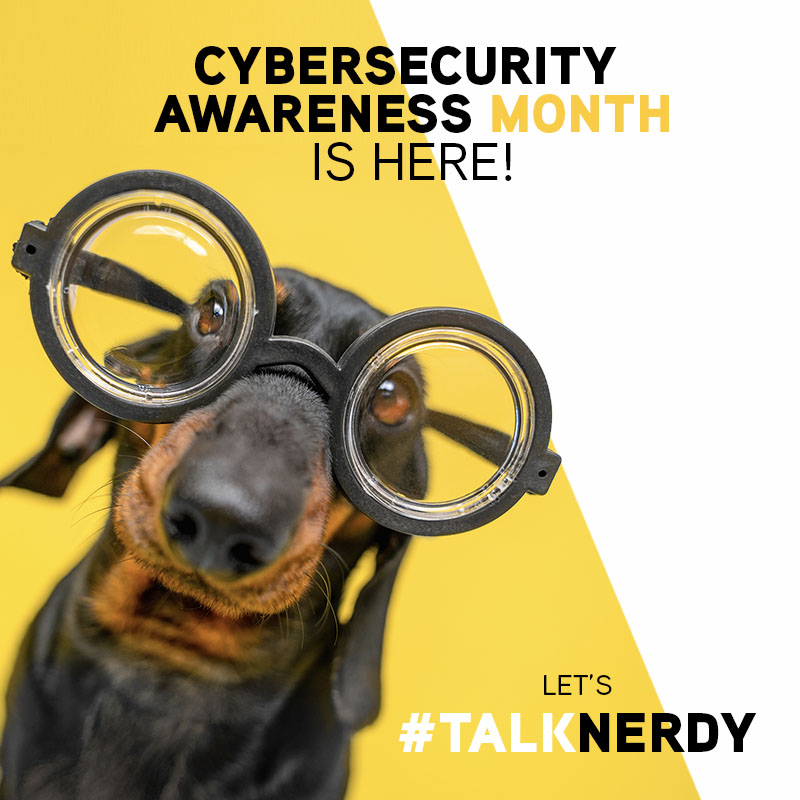Cybersecurity Awareness
