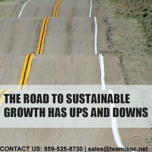 The Road to Sustainability