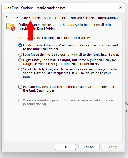 A screenshot of Junk options tabs.