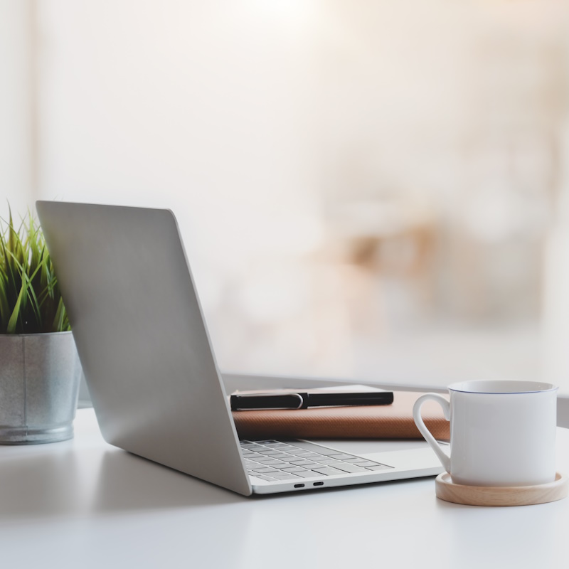 An image of a laptop, coffee mug, and fake plant sitting on a desk.
