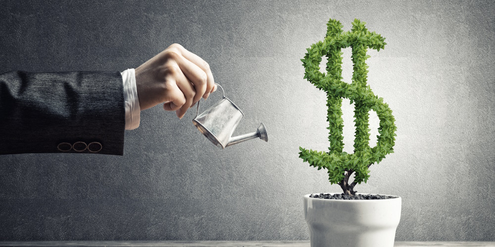 An image of a person holding a tiny watering can, watering a house plant that is in the shape of a dollar sign.
