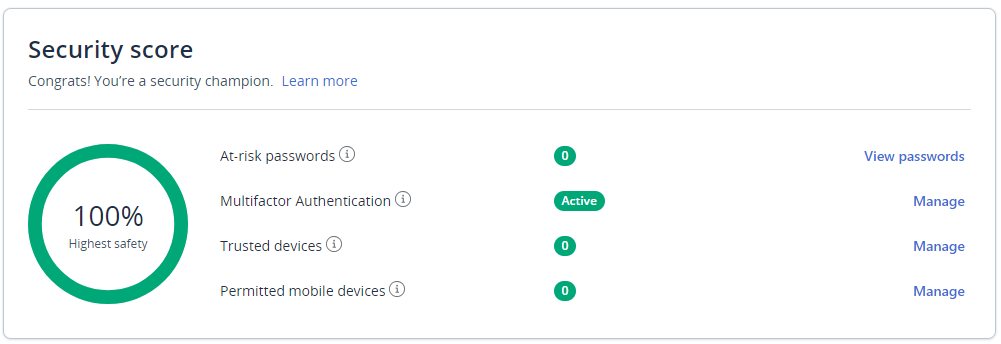 Security Score for the LastPass Security Score showing 100% highest Safety score.