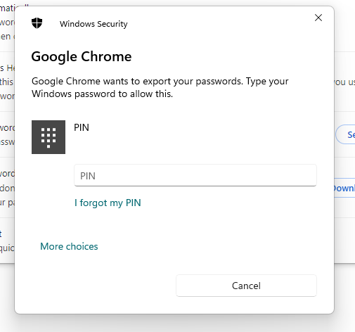 Windows Security Alert for your pin to be entered. Asking for permission to export your Google Chrome passwords.