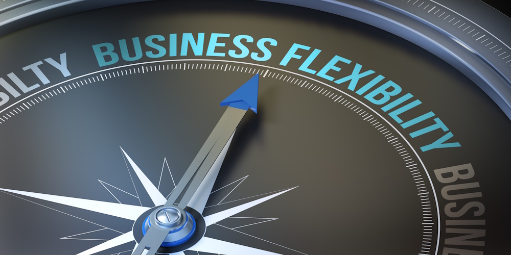 An image of a compass that reads business flexibility