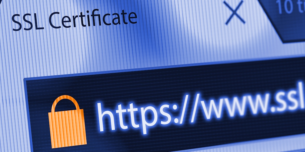 An image showing a website that is protected with an SSL.