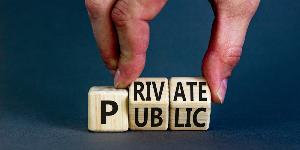An image of a hand holding up small wooden blocks that read private on one side and public on the other.