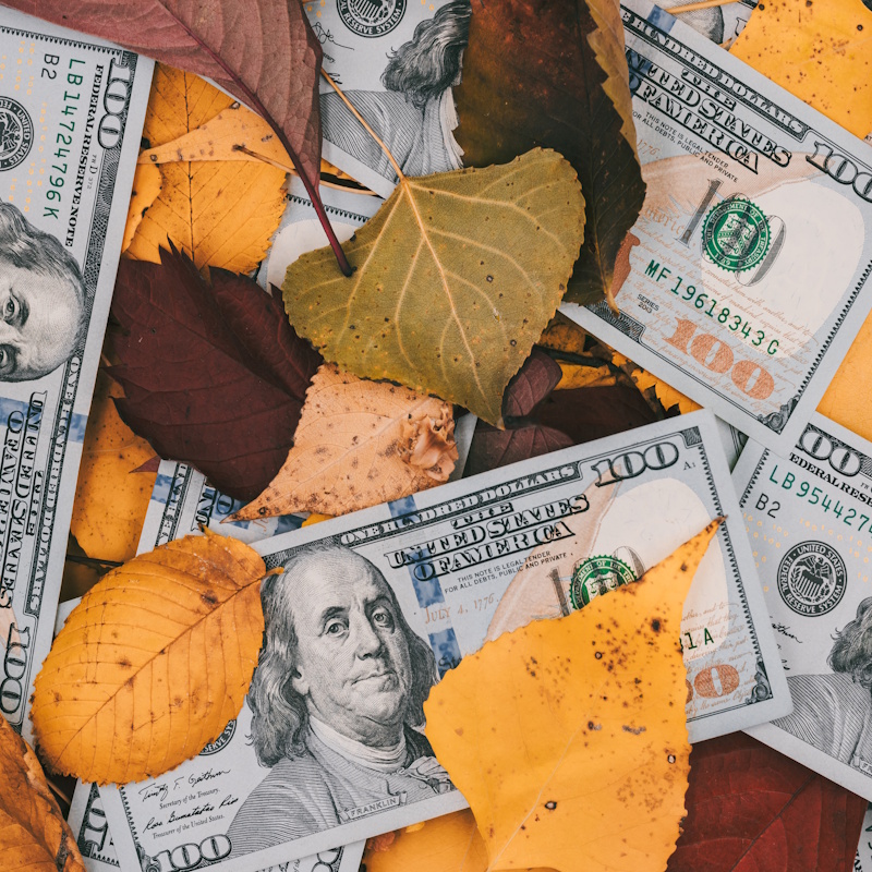 Scattered hundred-dollar bills partially covered by colorful autumn leaves.